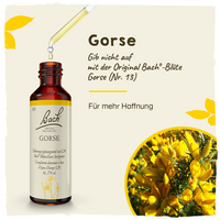 BACHBLÜTEN Gorse Tropfen