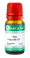 ACER negundo LM 60 Dilution