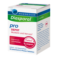 MAGNESIUM DIASPORAL pro+B-Vit.DEPOT Musk.+Nerv.Tab