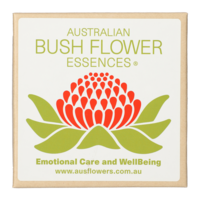 PETITE Pendant light purple glass